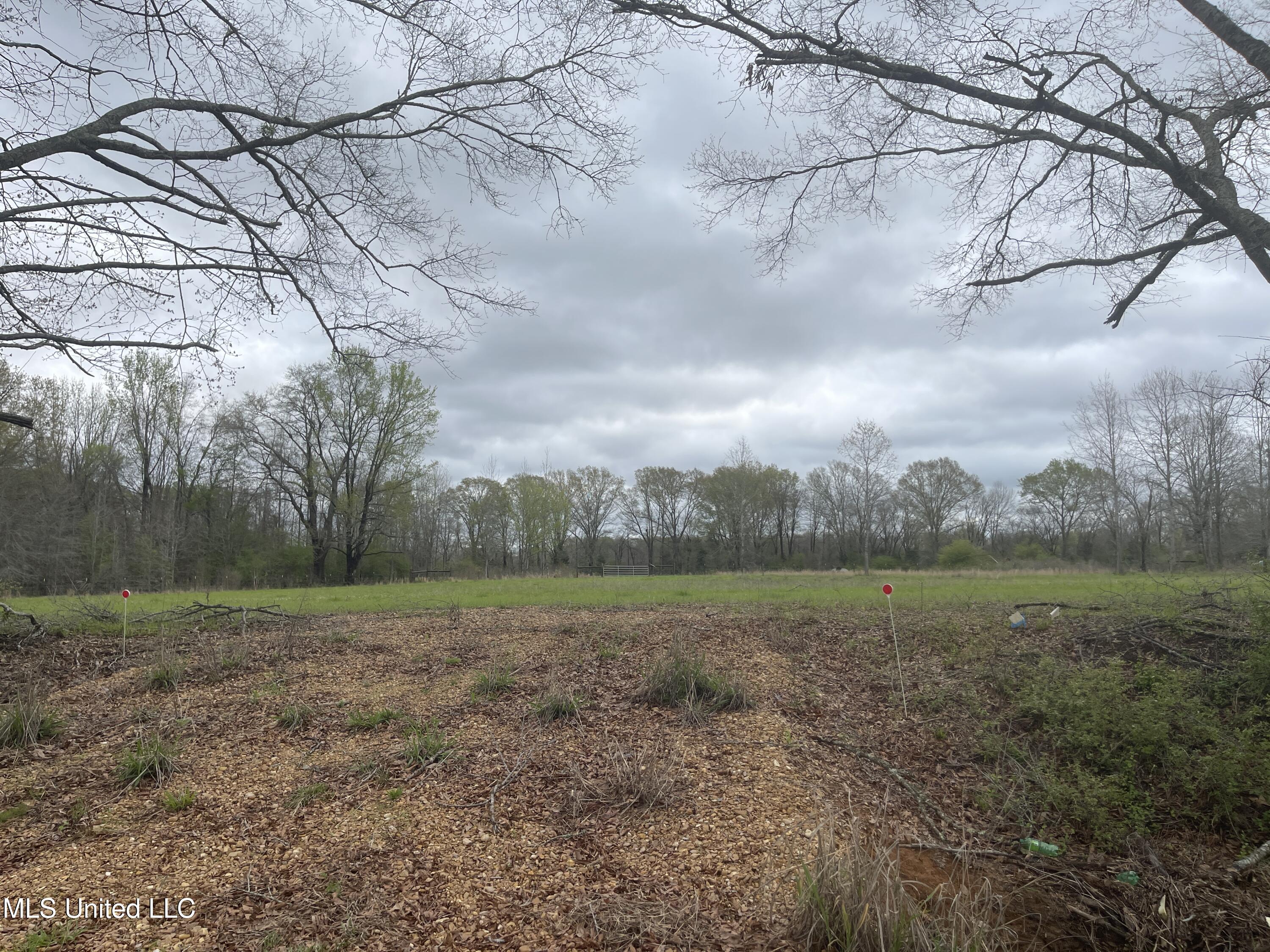 386 Brown Road West Canton, MS 39046 - Photo 2 of 7 IMG_1147