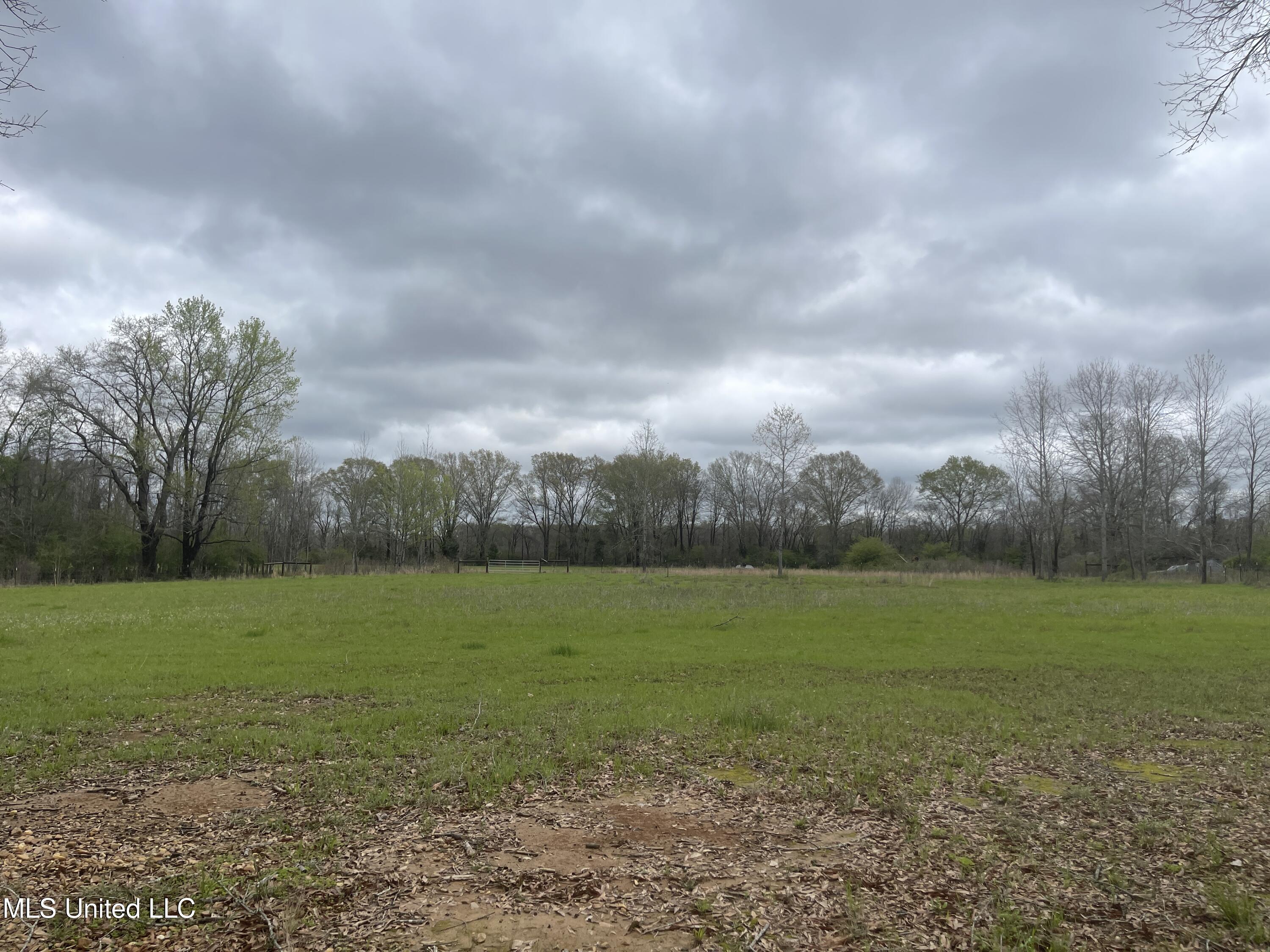 386 Brown Road West Canton, MS 39046 - Photo 3 of 7 IMG_1149