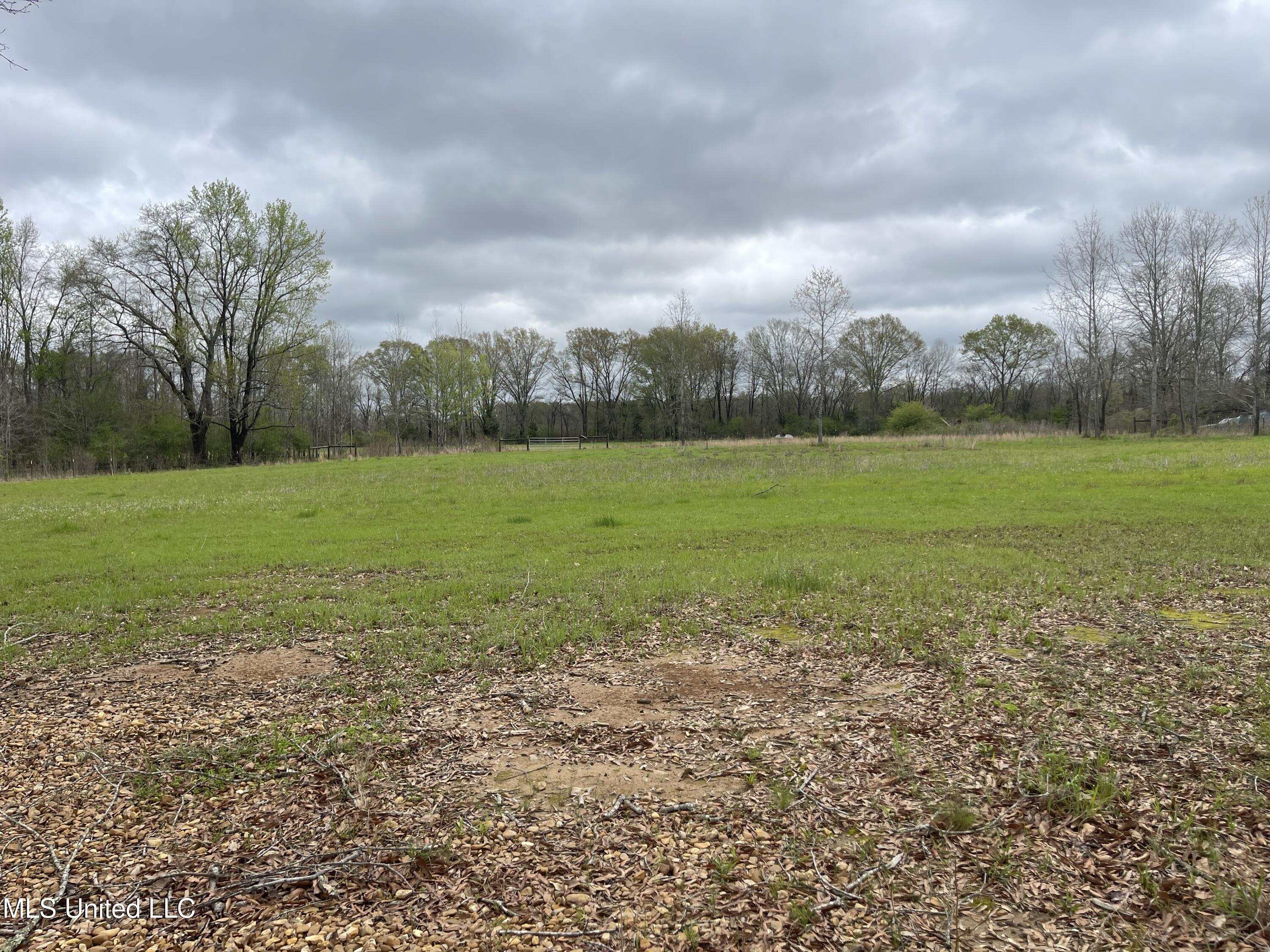 386 Brown Road West Canton, MS 39046 - Photo 4 of 7 IMG_1151