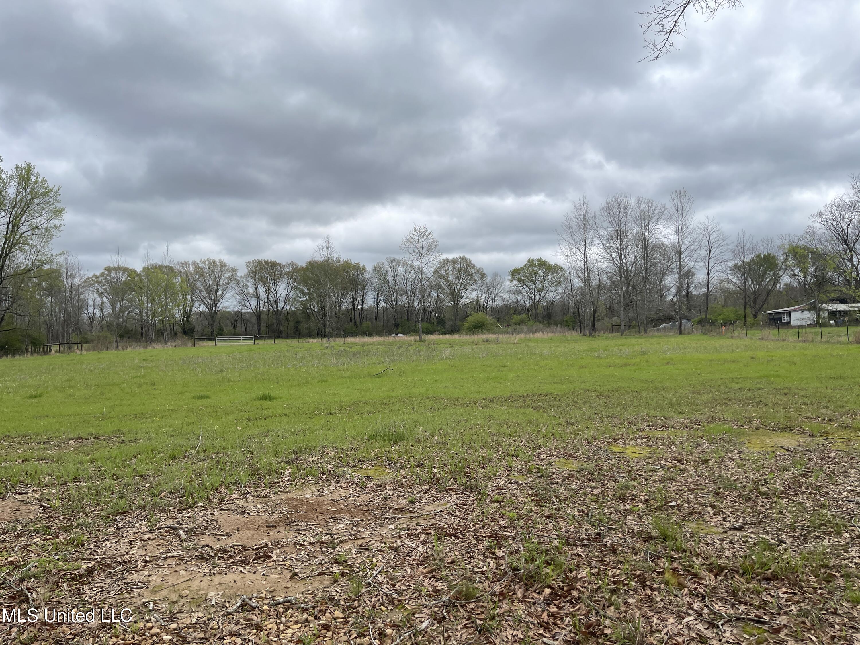 386 Brown Road West Canton, MS 39046 - Photo 5 of 7 IMG_1153