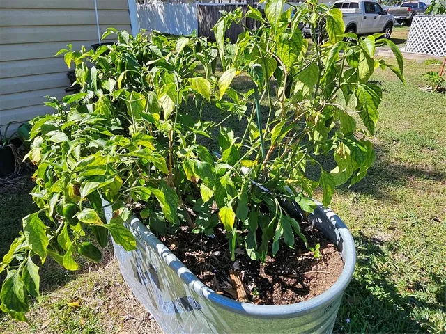 $225,000 | 447 Yeager Street, Port Charlotte, FL 33954