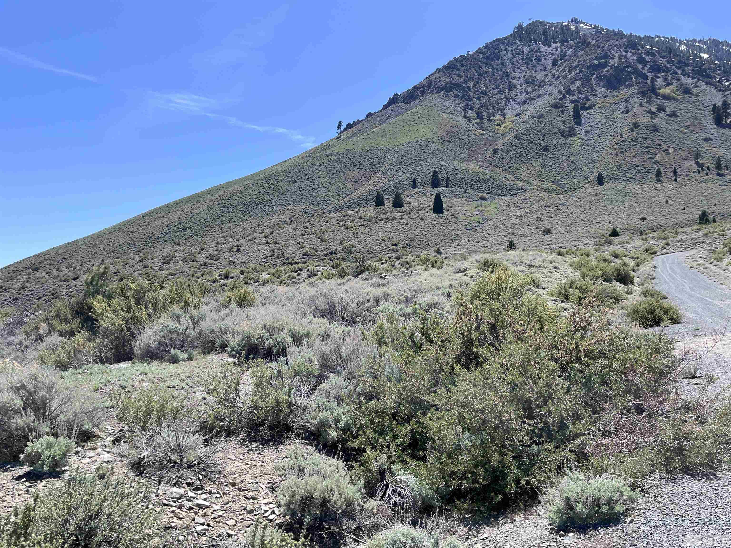 292 James Canyon Loop, Unit 58 Genoa, NV 89411 - Photo 2 of 12 a view of a dry field