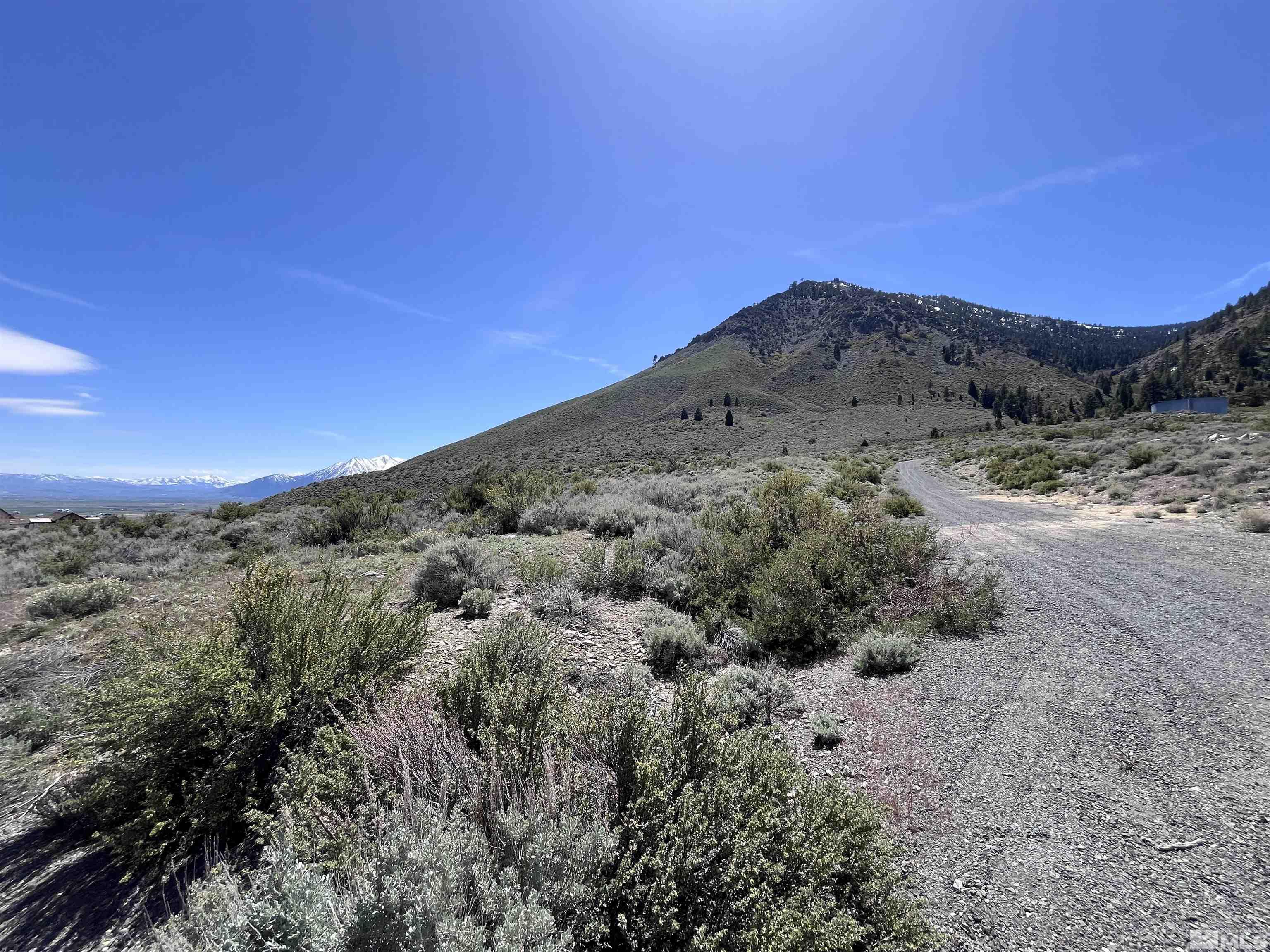 292 James Canyon Loop, Unit 58 Genoa, NV 89411 - Photo 6 of 12 a view of a dry field