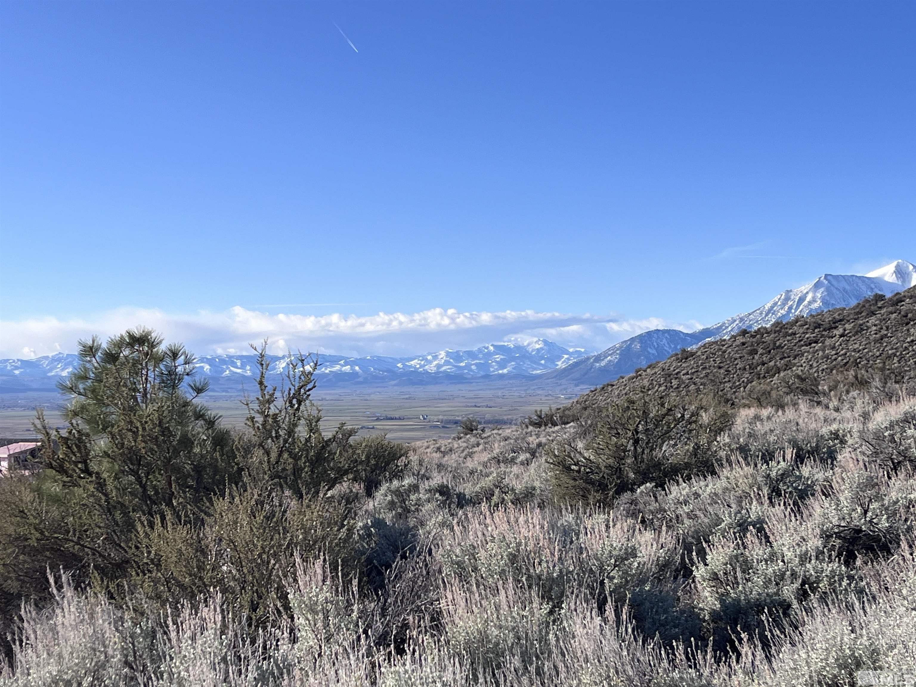 292 James Canyon Loop, Unit 58 Genoa, NV 89411 - Photo 7 of 12 a view of a mountain range with trees in the background