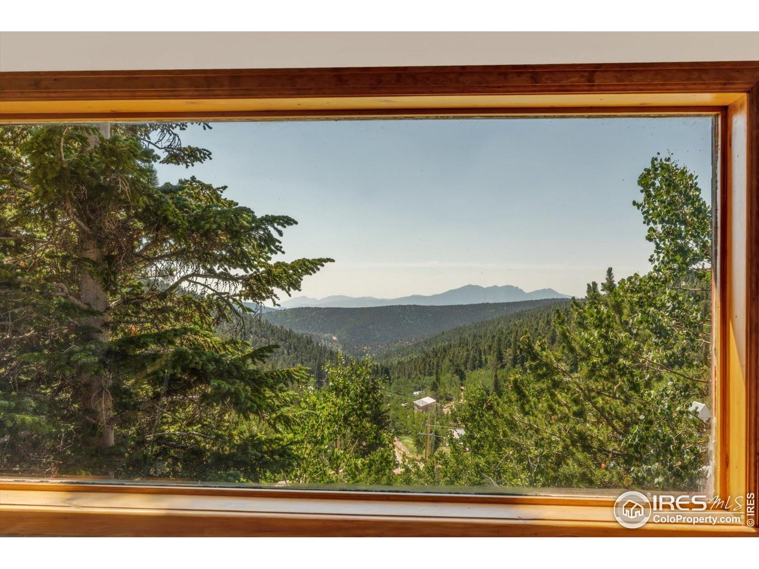 57 Nelson Street Ward, CO 80481 - Photo 2 of 27