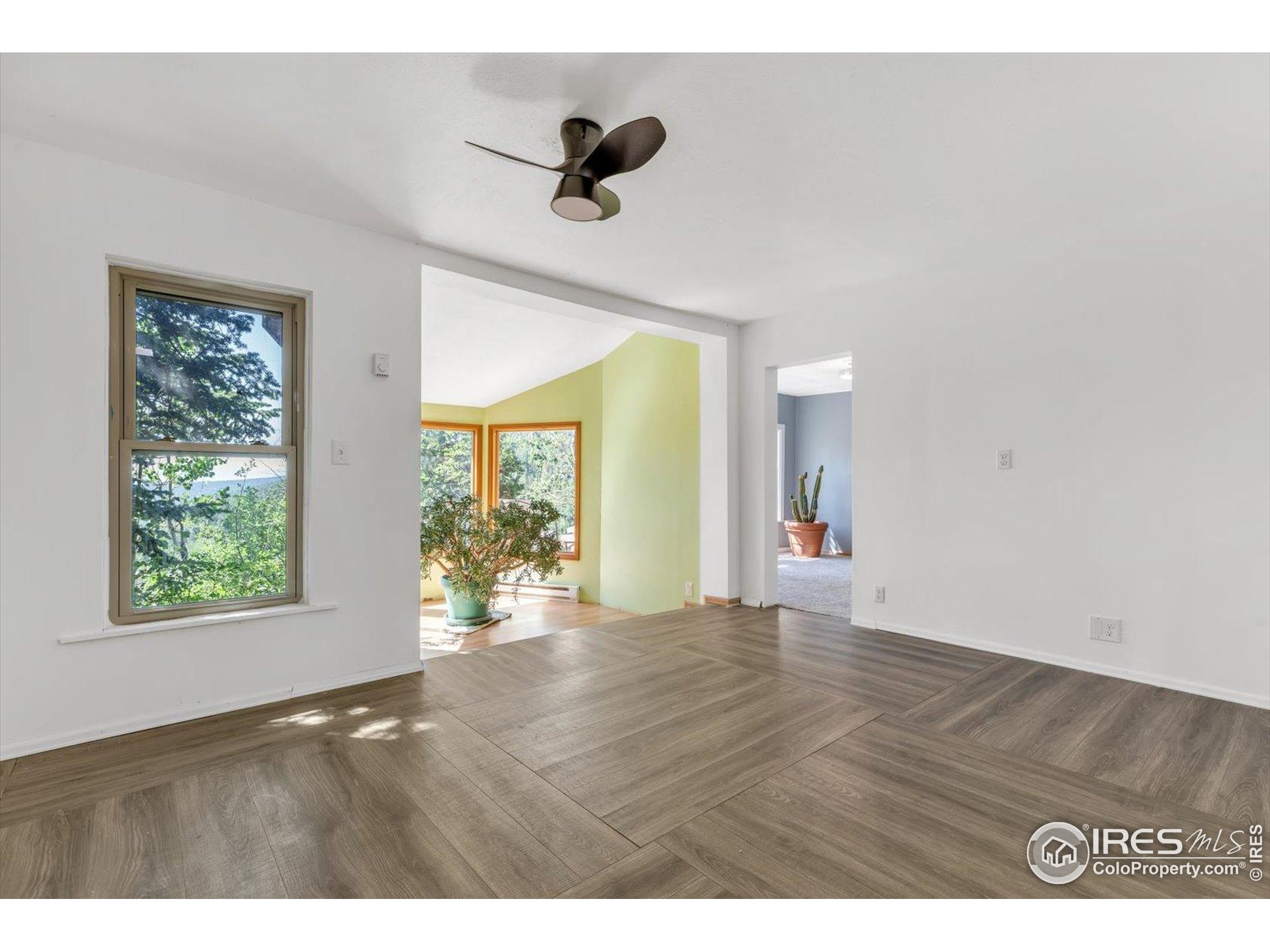 57 Nelson Street Ward, CO 80481 - Photo 7 of 27