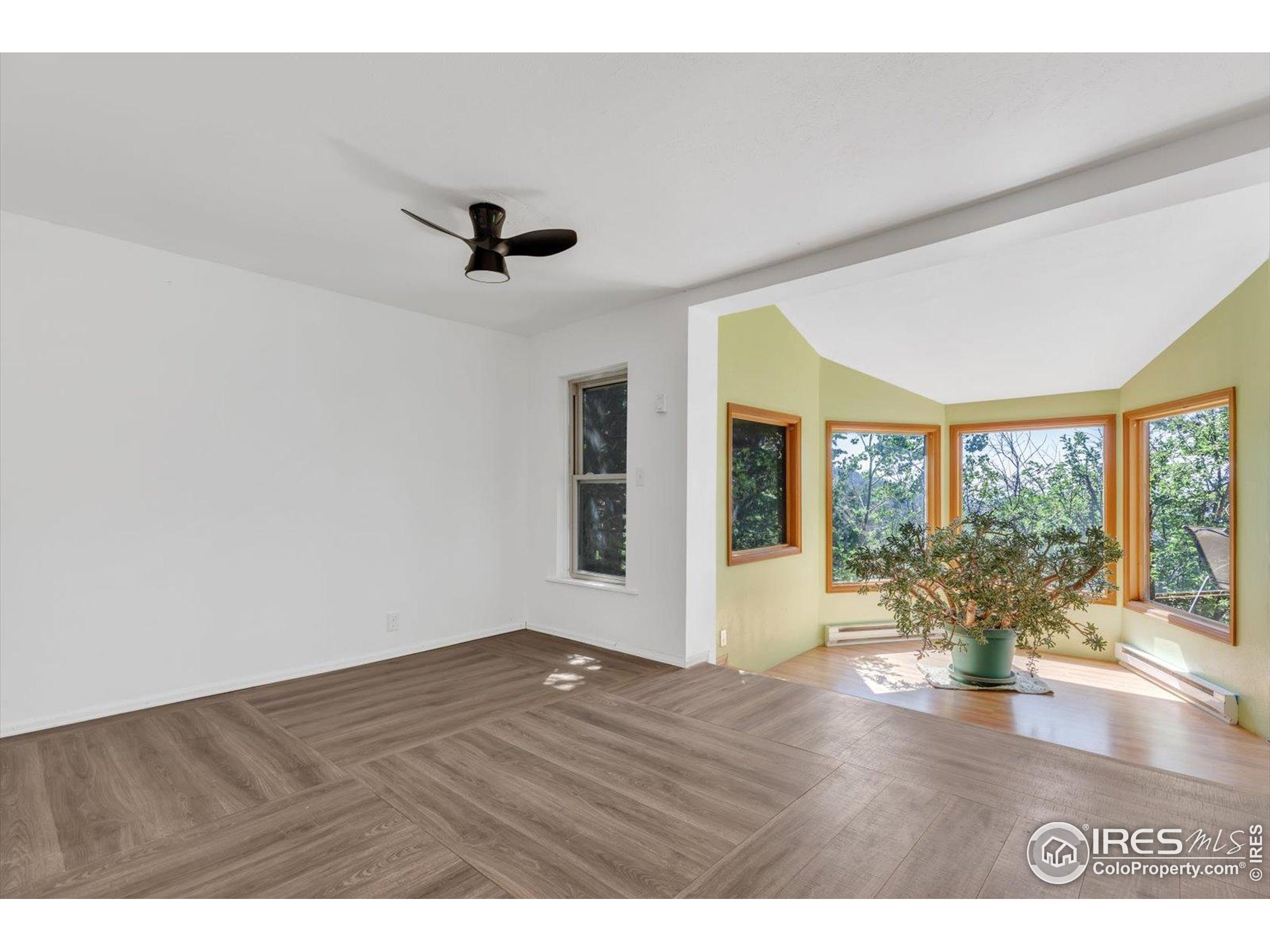 57 Nelson Street Ward, CO 80481 - Photo 8 of 27