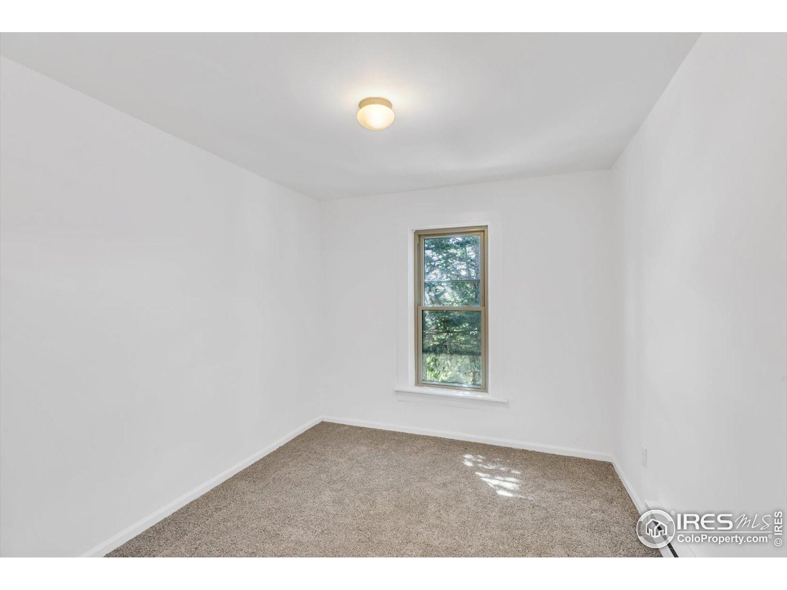 57 Nelson Street Ward, CO 80481 - Photo 10 of 27