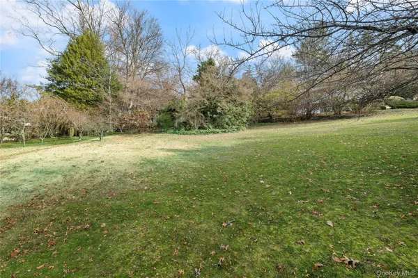 a view of a field with trees