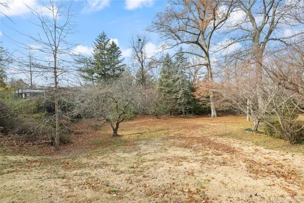 a view of outdoor space with trees