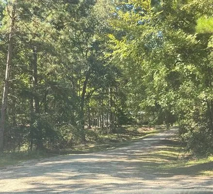 $33,000 | Tbd Nueces Drive, Trinity, TX 75862