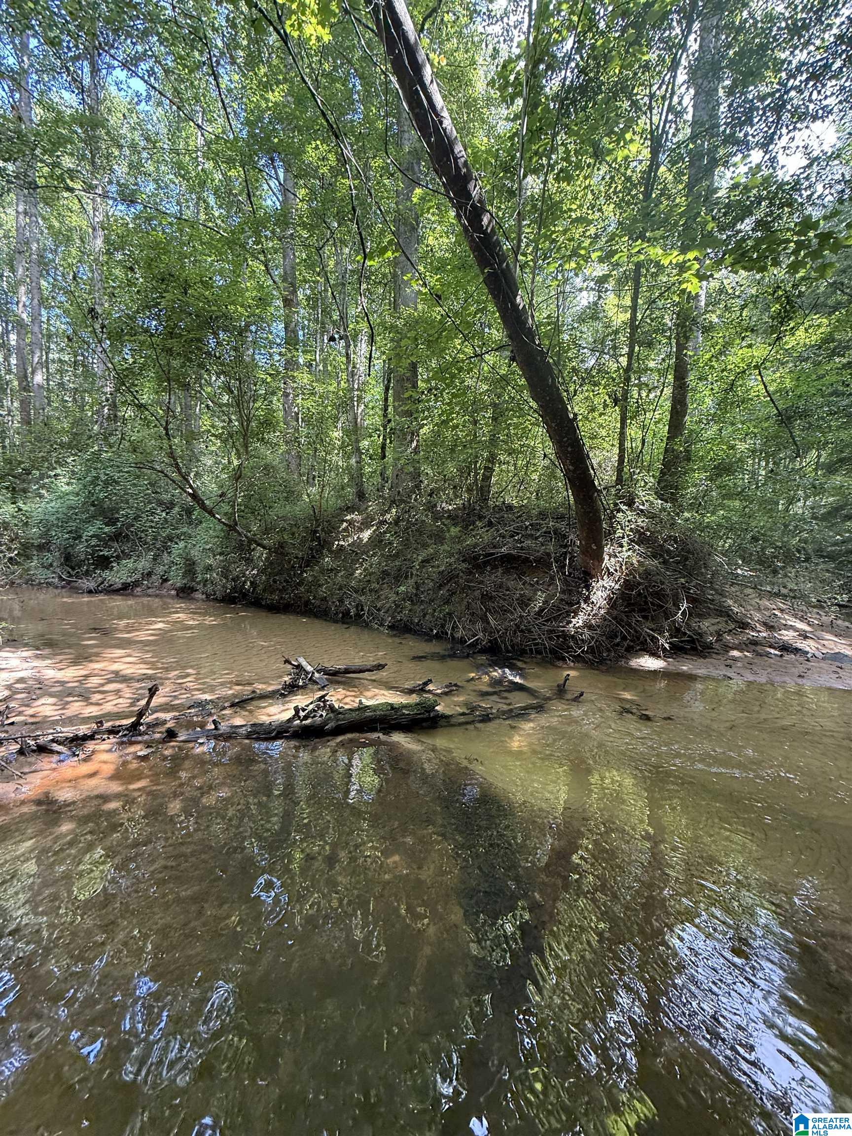 2 County Road 2, Unit 50 / ACRES Double Springs, AL 35553 - Photo 12 of 79