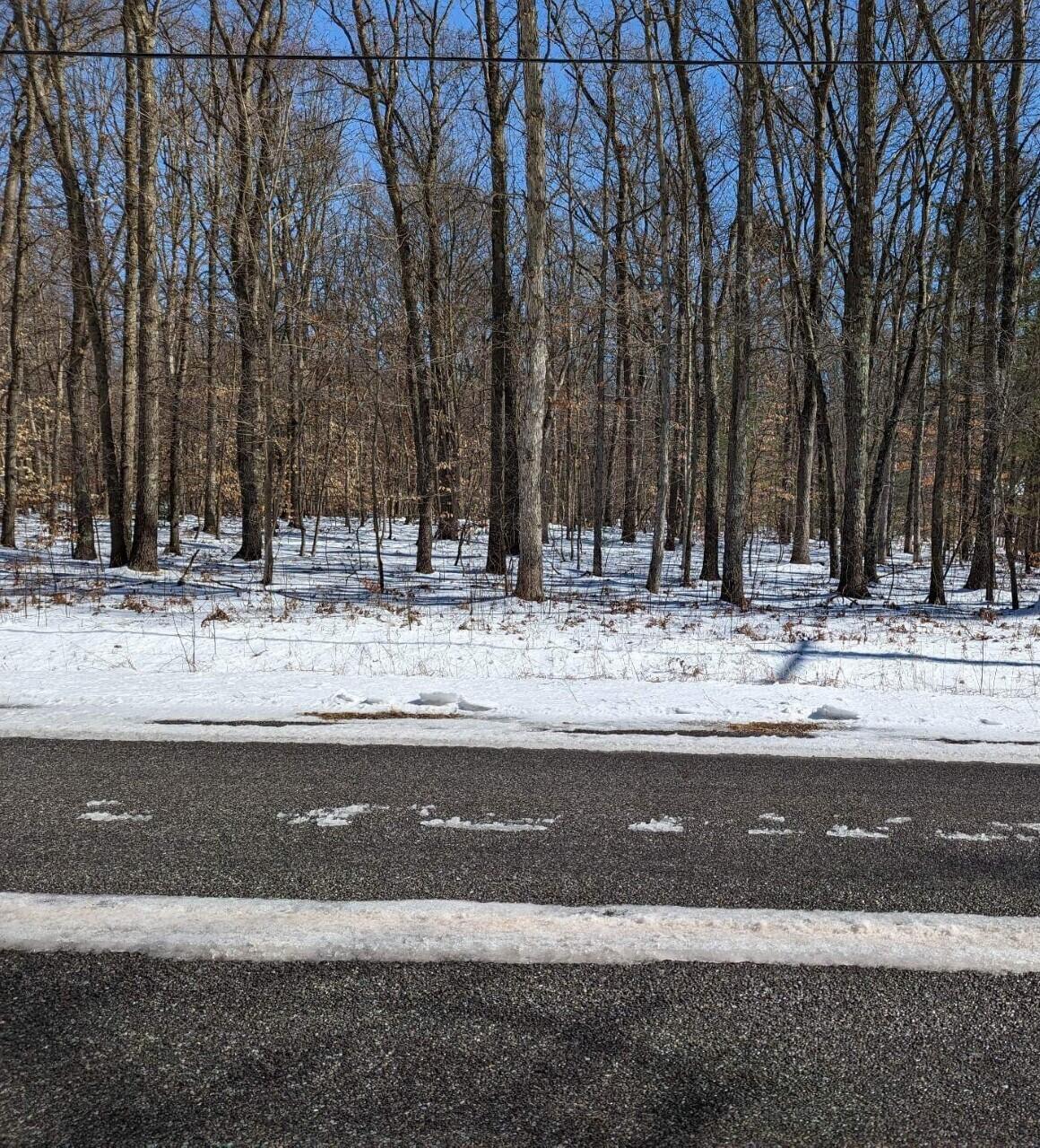 0 Orshal Road Whitehall, MI 49461 - Photo 1 of 5 thumbnail_received_6247245301992526_2