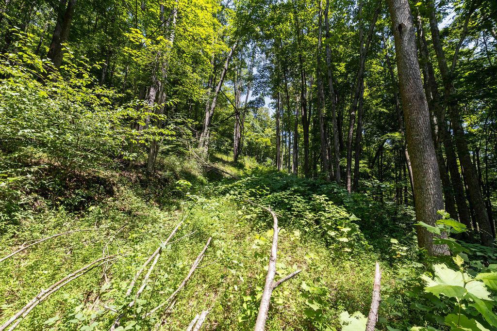 24272 Conrad Road Laurelville, OH 43135 - Photo 29 of 32 29-Walking Path-8