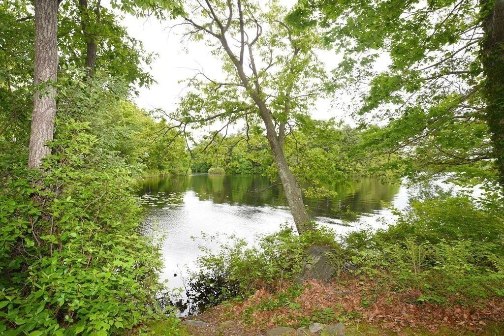 1559 Bay Street, Unit 53 Taunton, MA 02780 - Photo 3 of 40 a view of a forest with trees