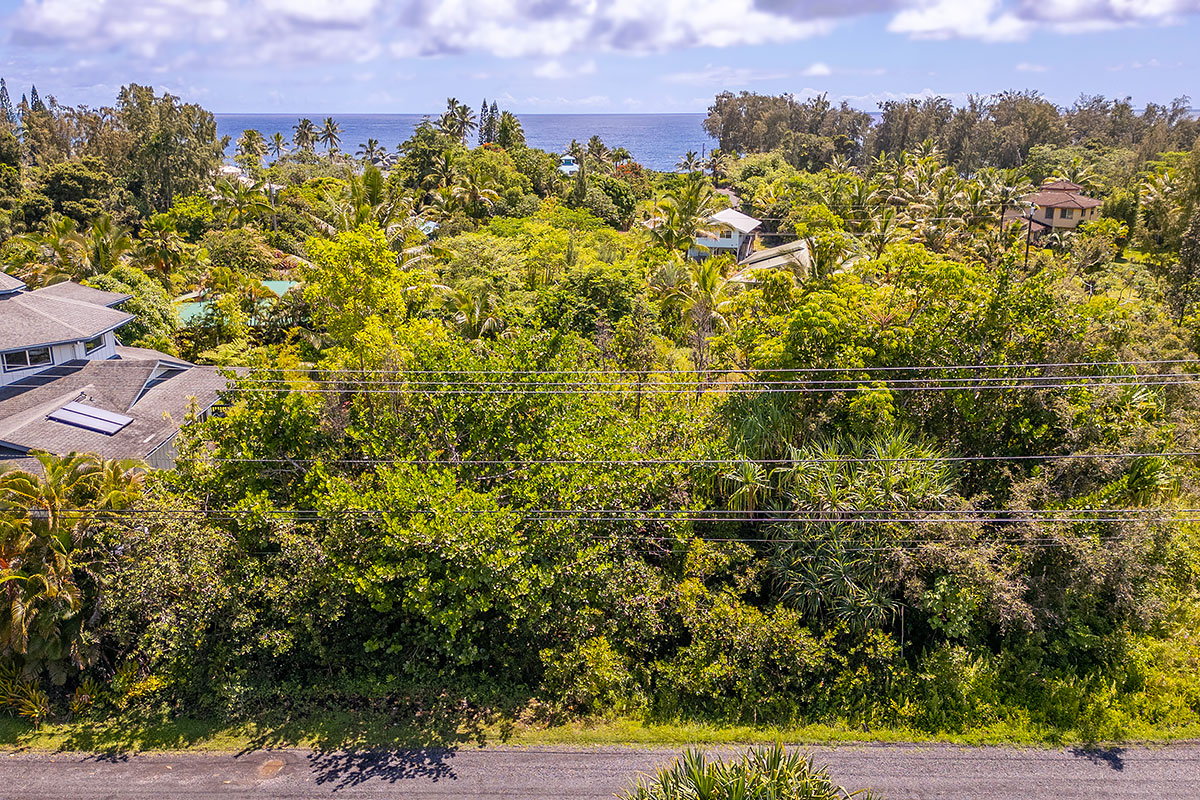56 Beach Road Keaau, HI 96749 - Photo 8 of 30