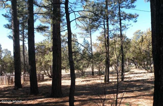 2896 Deer Trail Overgaard, AZ 85933 - Photo 4 of 14