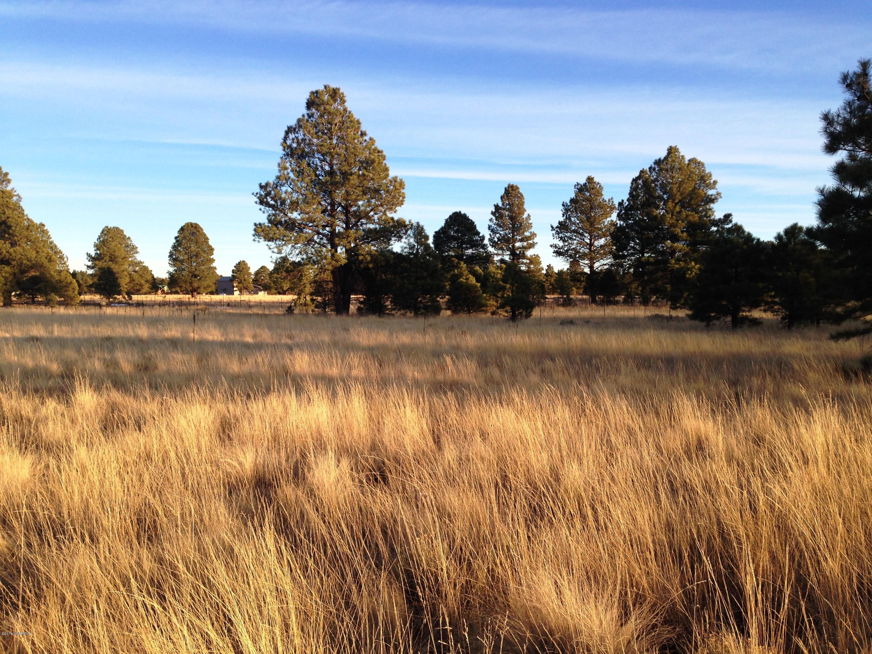 2841 Government Prairie Road Parks, AZ 86018 - Photo 11 of 25 IMG_2315