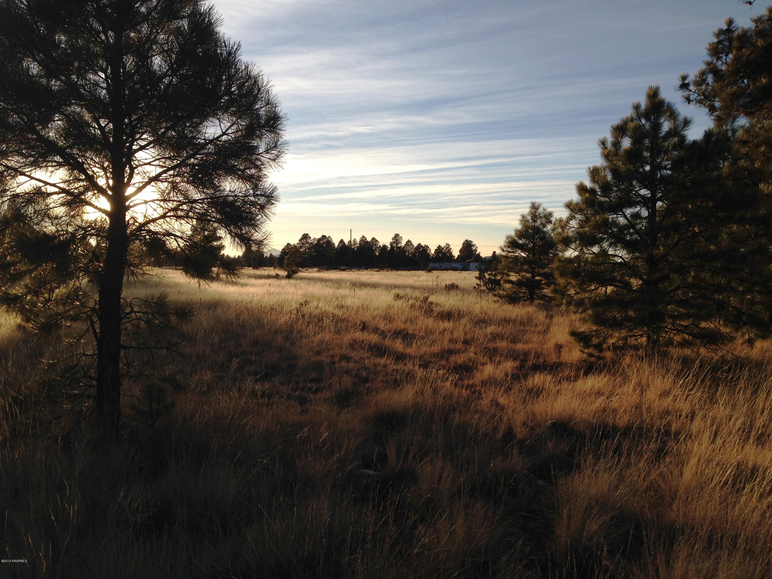 2841 Government Prairie Road Parks, AZ 86018 - Photo 13 of 25 IMG_2317