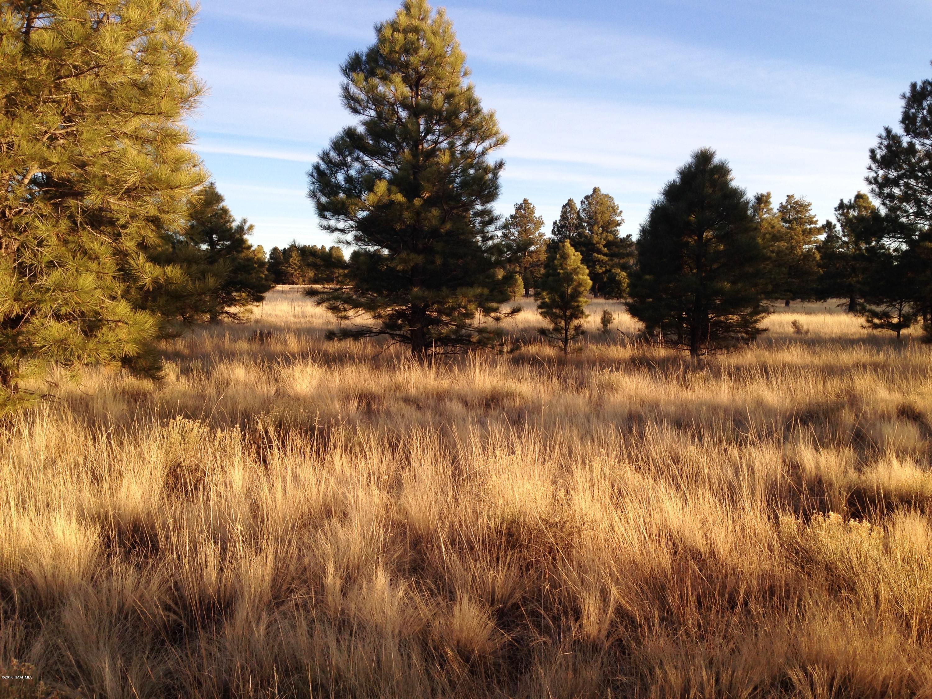 2841 Government Prairie Road Parks, AZ 86018 - Photo 15 of 25 IMG_2319