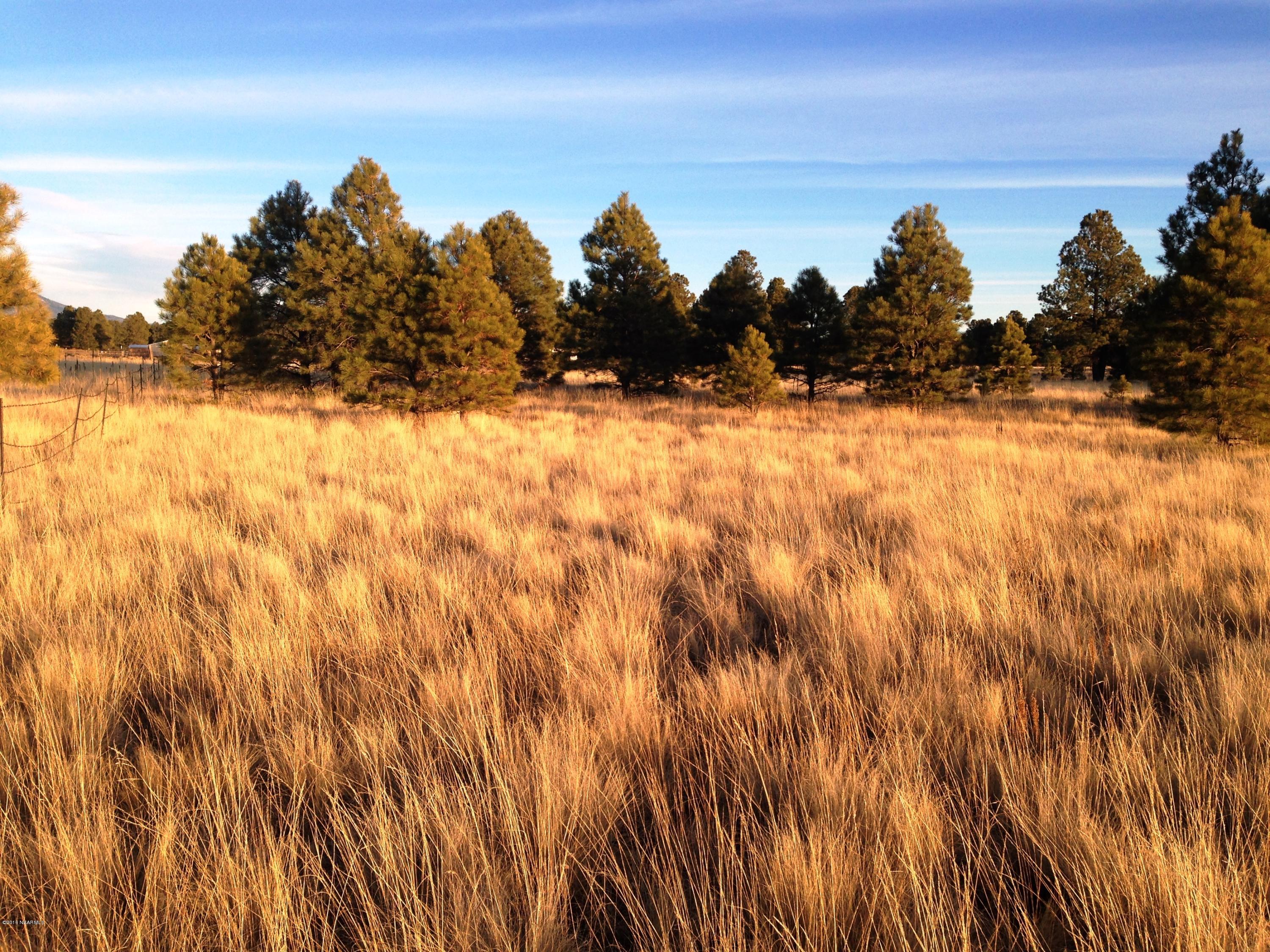 2841 Government Prairie Road Parks, AZ 86018 - Photo 16 of 25 IMG_2320
