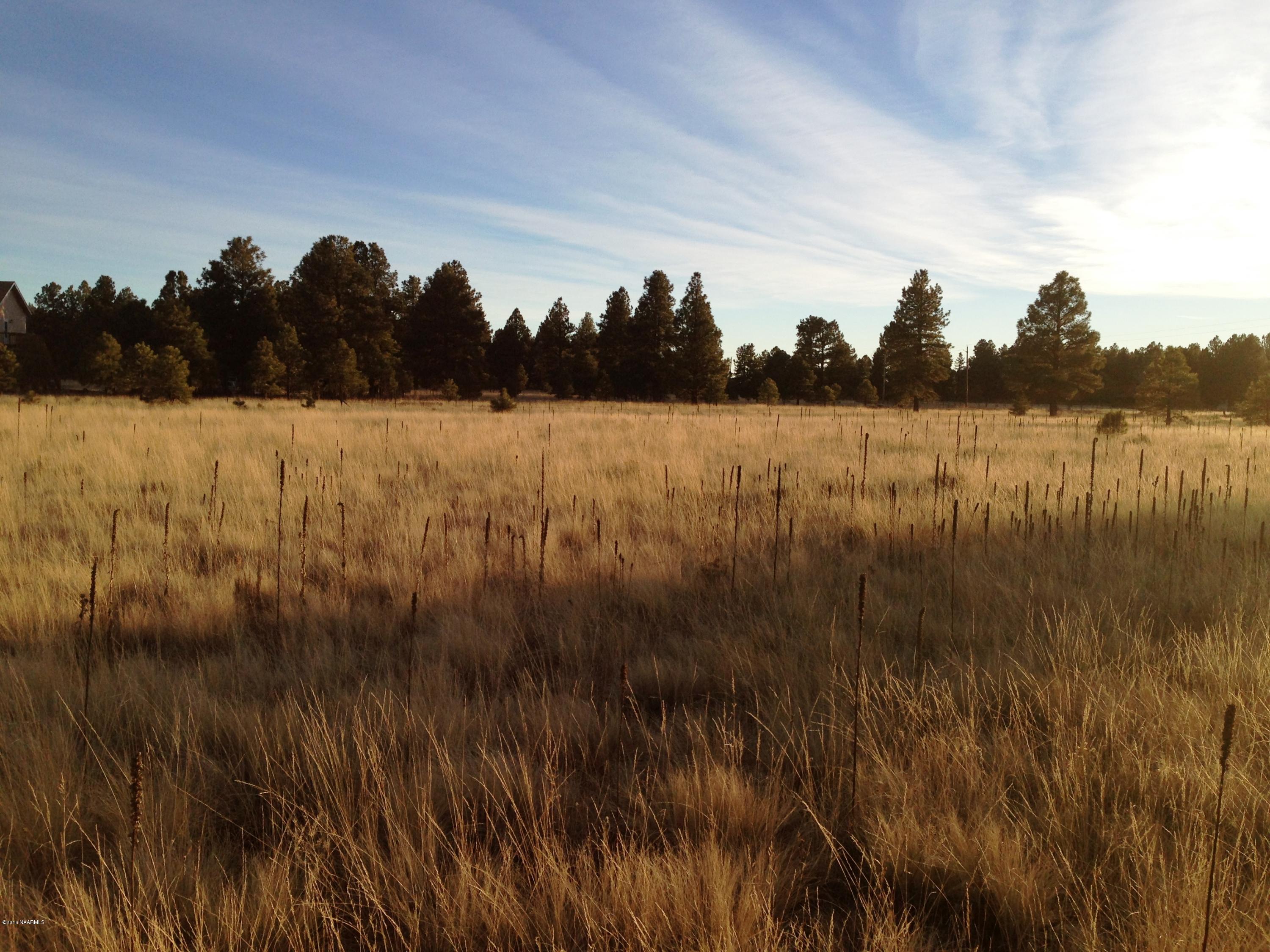 2841 Government Prairie Road Parks, AZ 86018 - Photo 18 of 25 IMG_2322