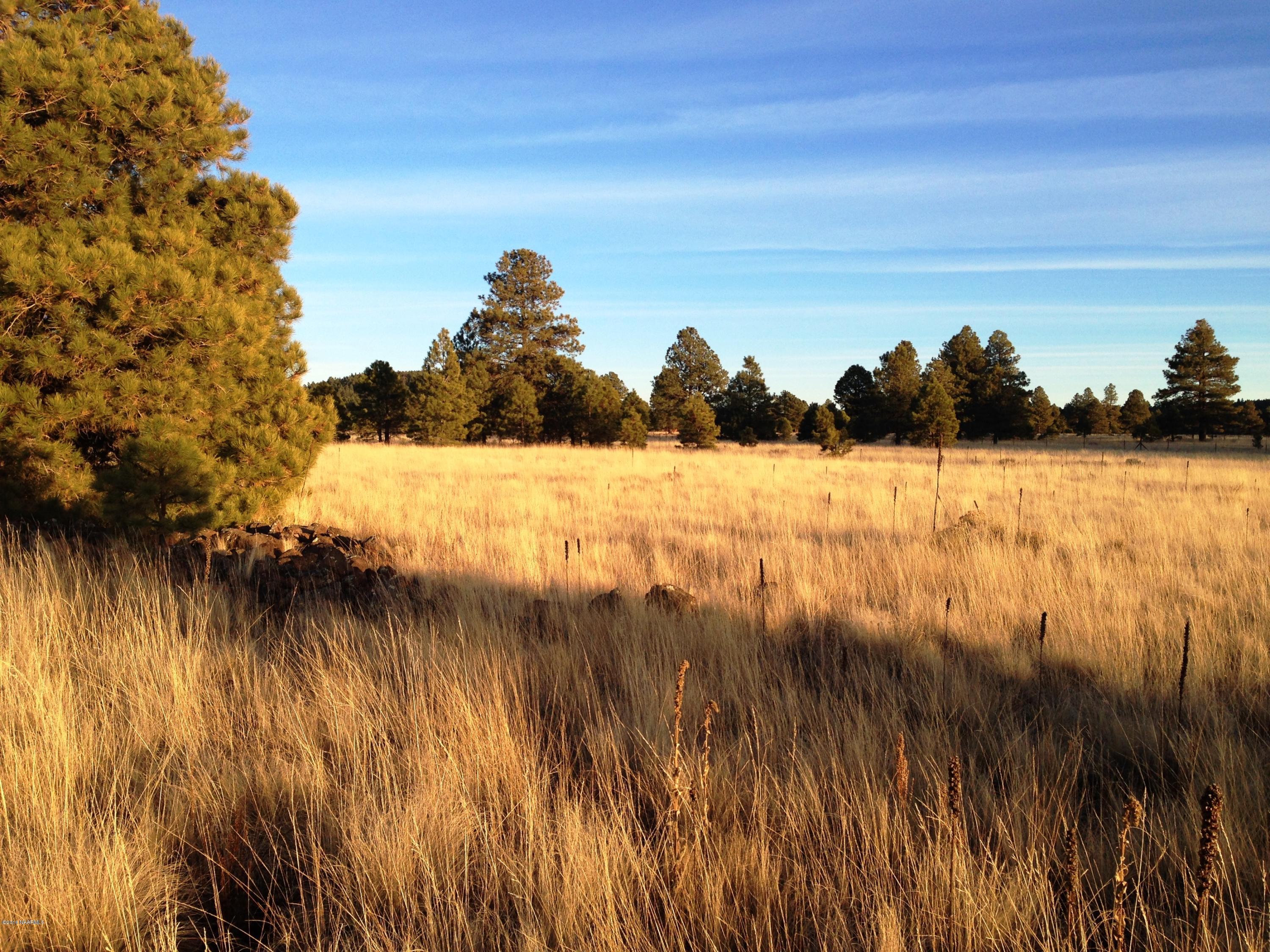 2841 Government Prairie Road Parks, AZ 86018 - Photo 19 of 25 IMG_2323