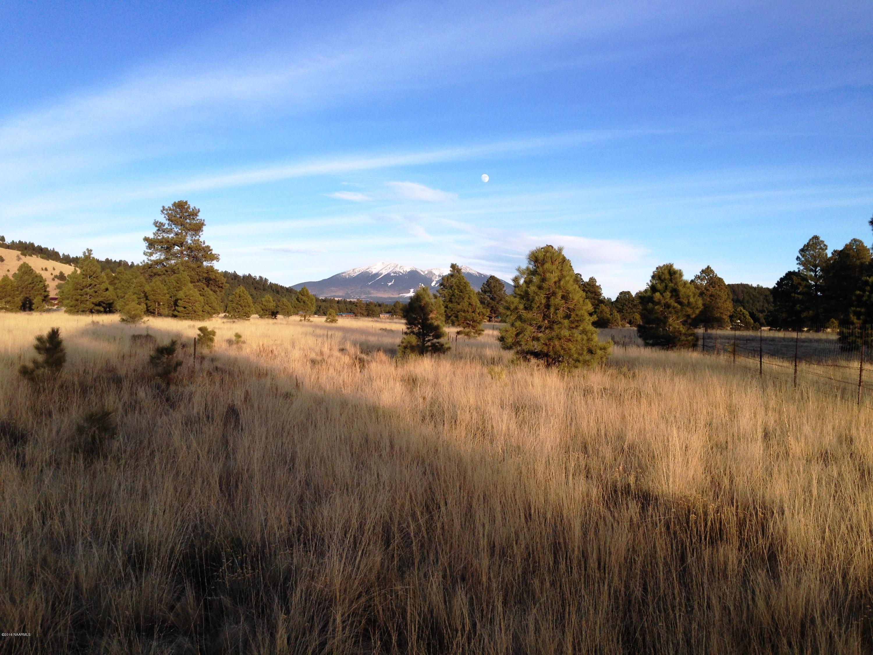 2841 Government Prairie Road Parks, AZ 86018 - Photo 5 of 25 IMG_2308