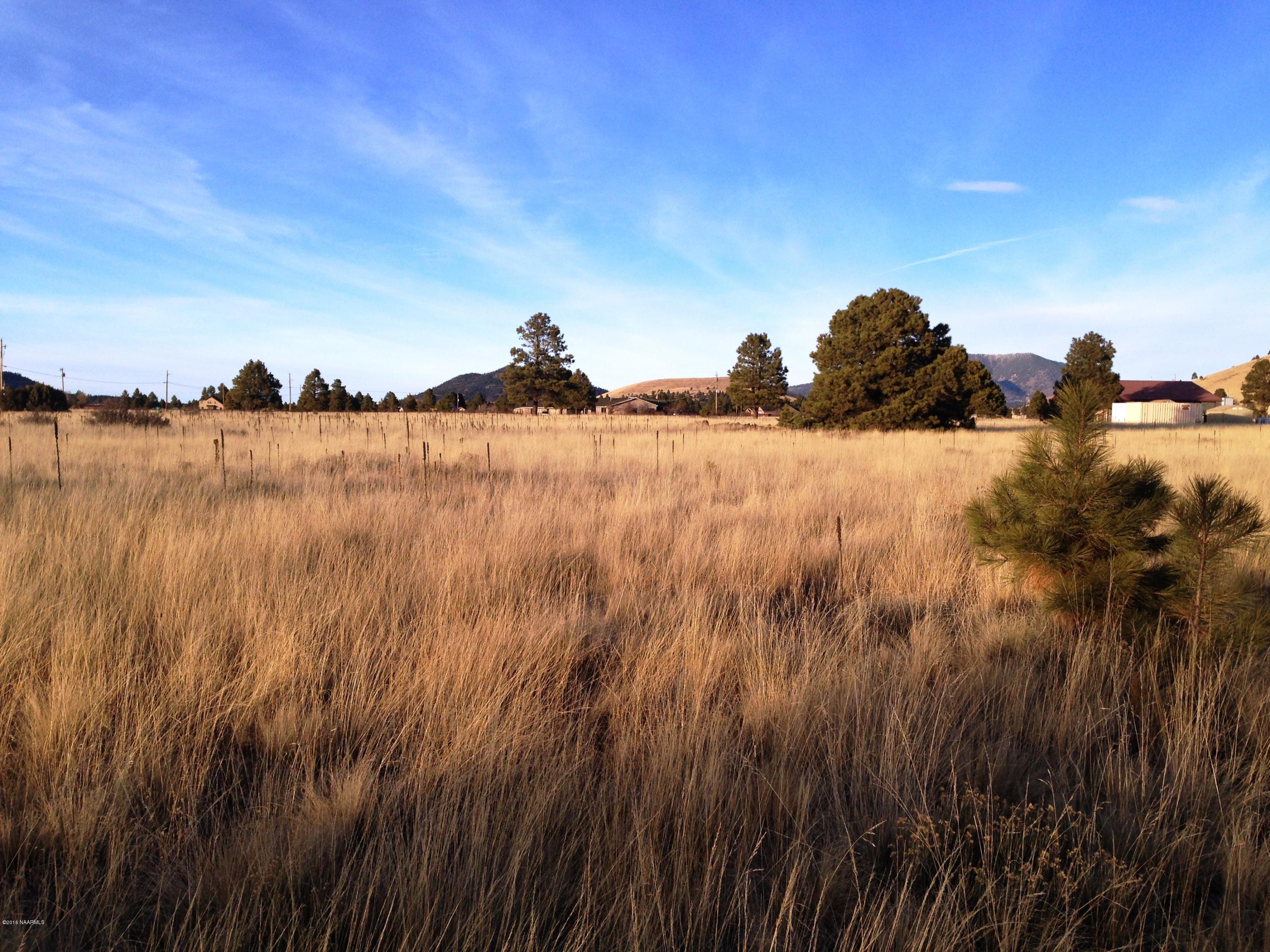 2841 Government Prairie Road Parks, AZ 86018 - Photo 6 of 25 IMG_2309