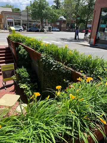 a view of a garden with sitting area