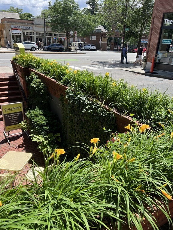 a view of a garden with sitting area