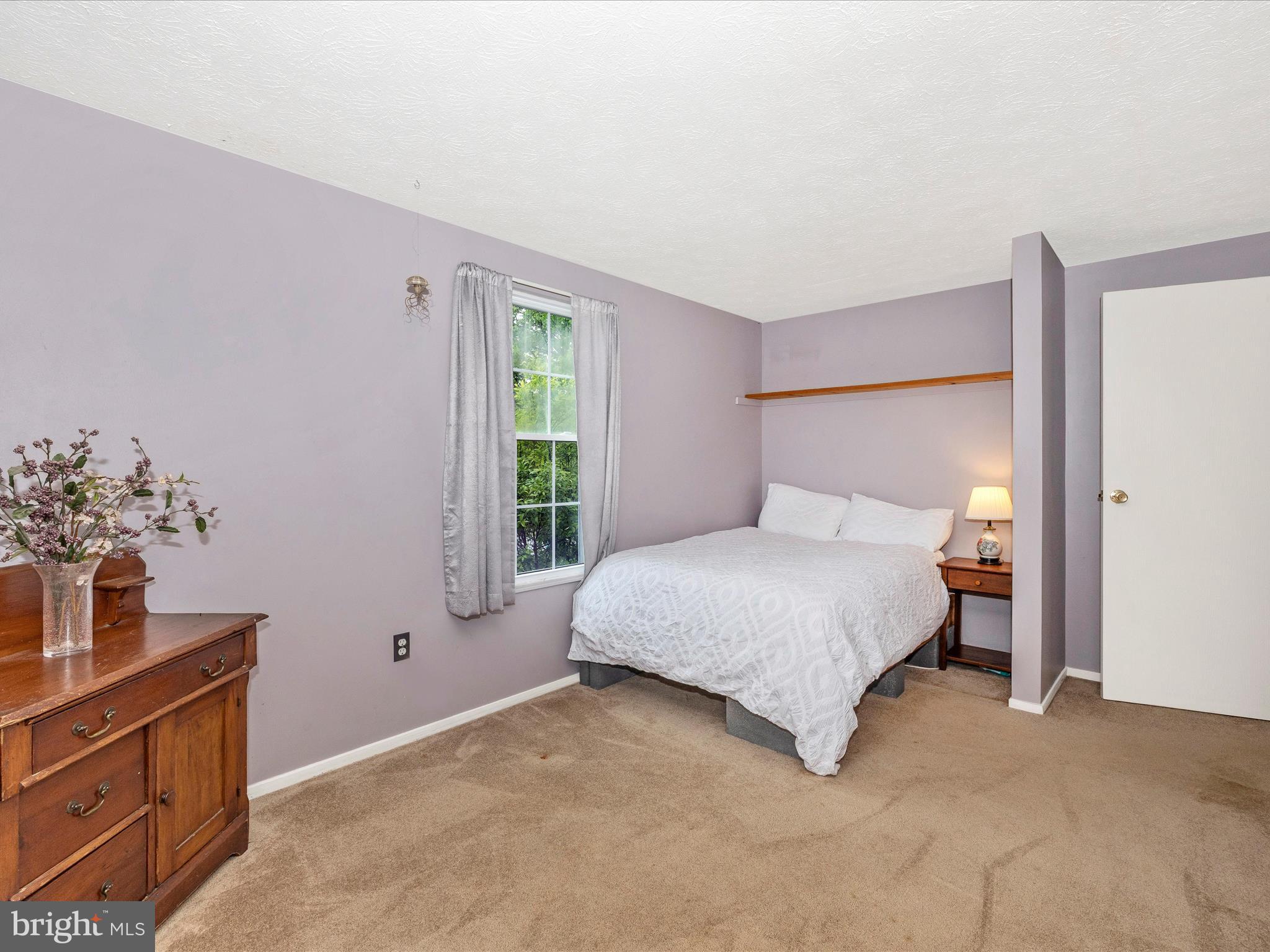 4310 Zircon Road Middletown, MD 21769 - Photo 31 of 86 a bedroom with a bed and a potted plant
