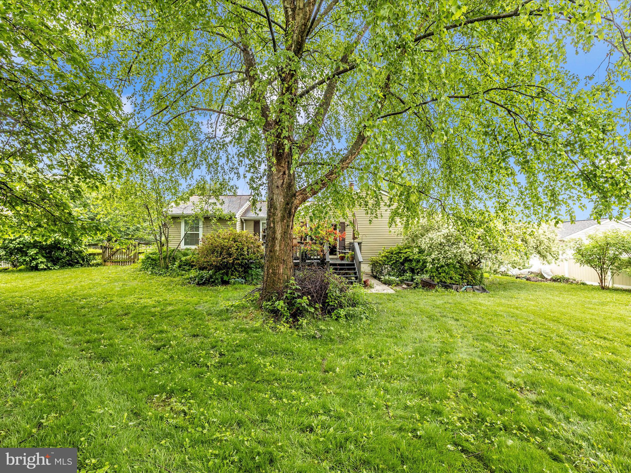 4310 Zircon Road Middletown, MD 21769 - Photo 48 of 86 a view of outdoor space with deck and yard
