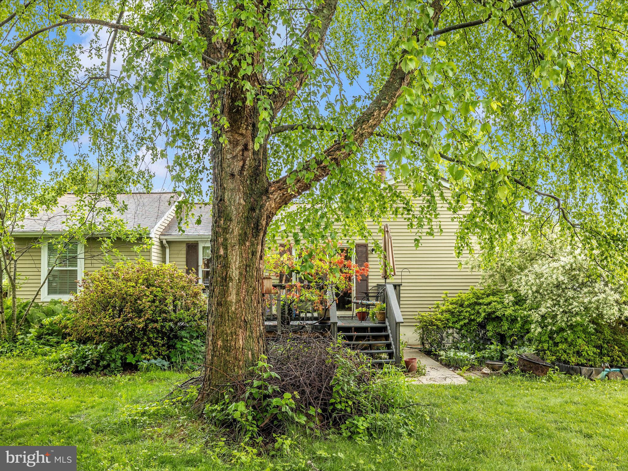 4310 Zircon Road Middletown, MD 21769 - Photo 49 of 86 a view of outdoor space and yard