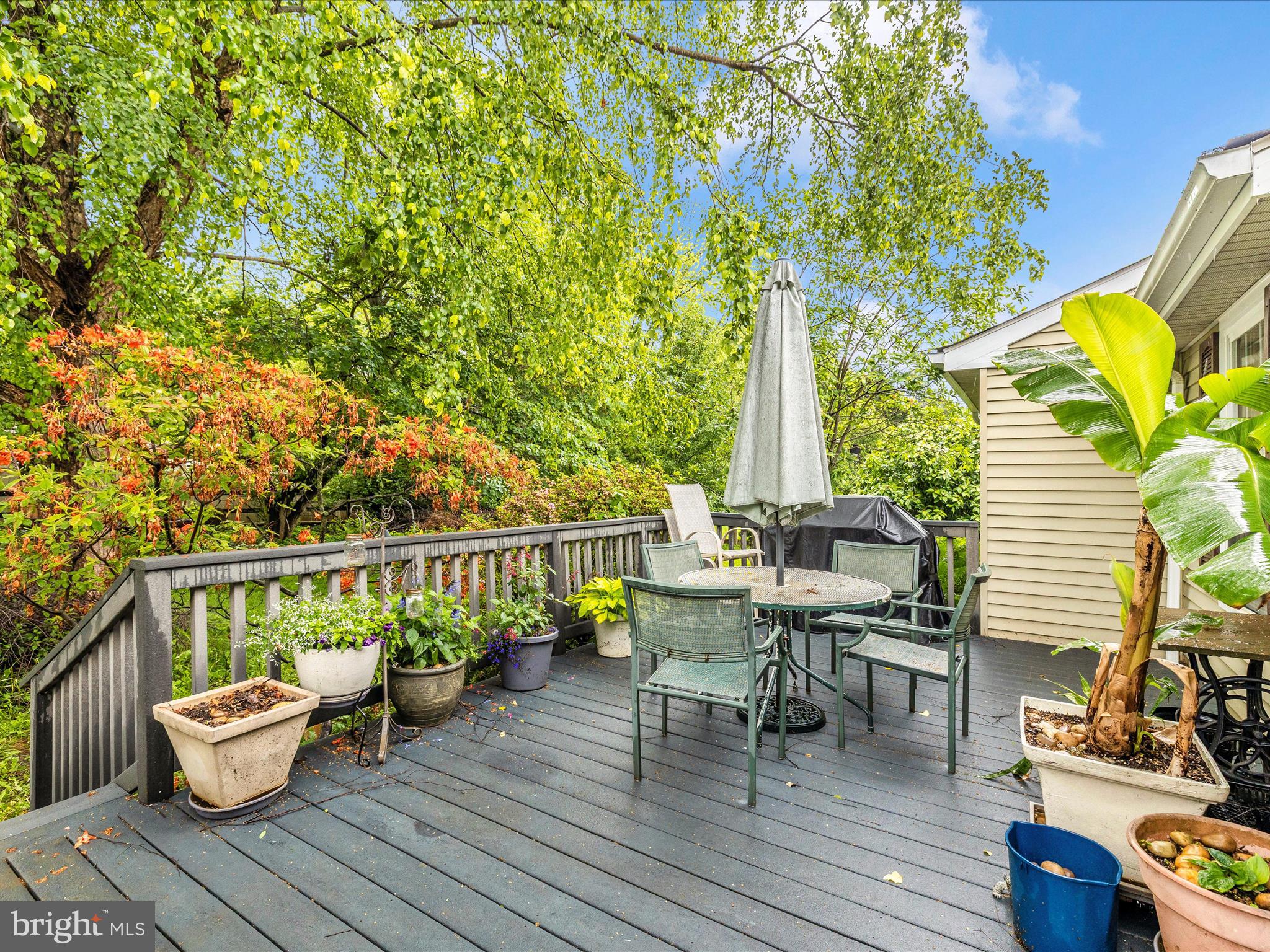 4310 Zircon Road Middletown, MD 21769 - Photo 53 of 86
