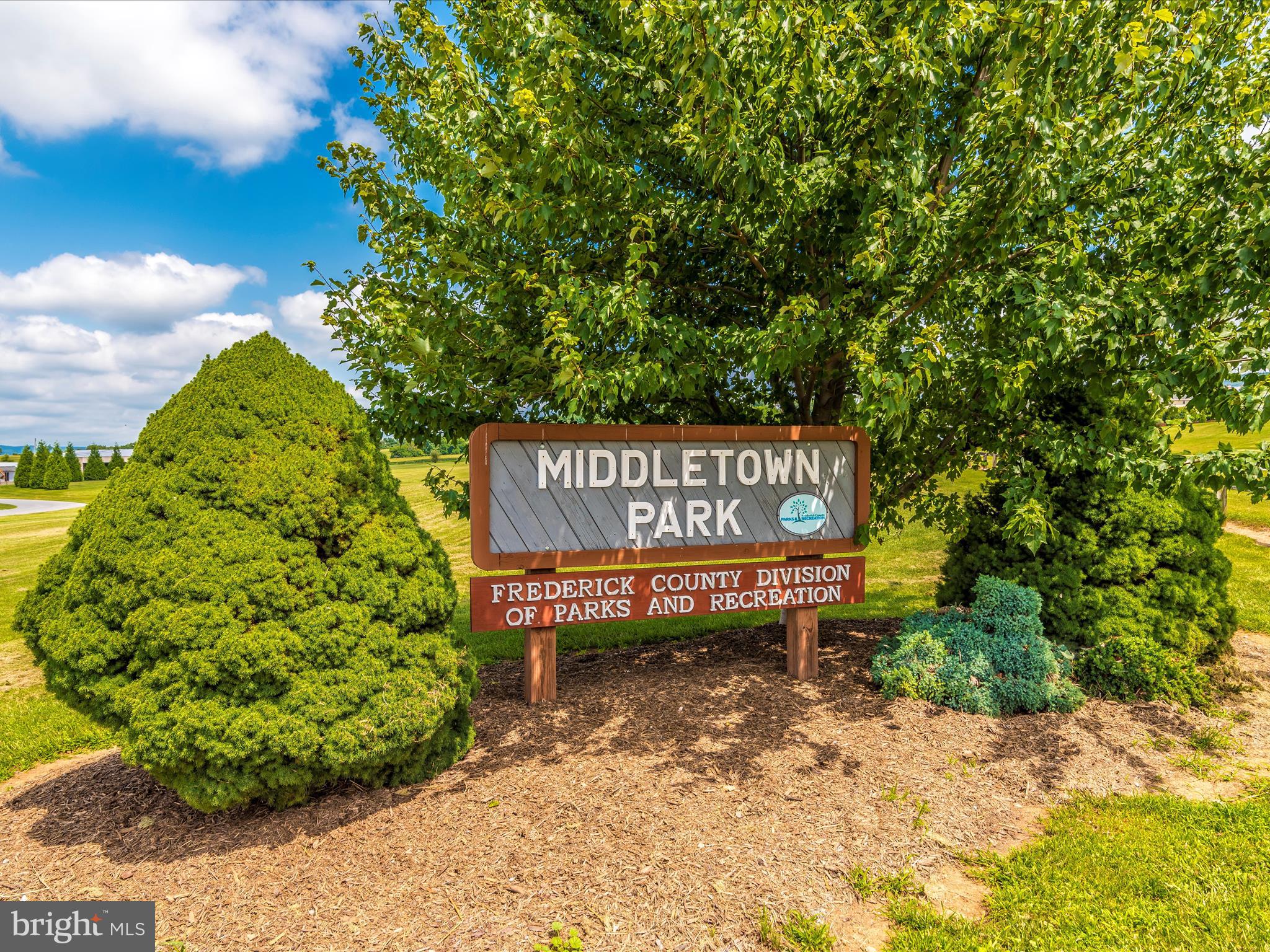 4310 Zircon Road Middletown, MD 21769 - Photo 78 of 86
