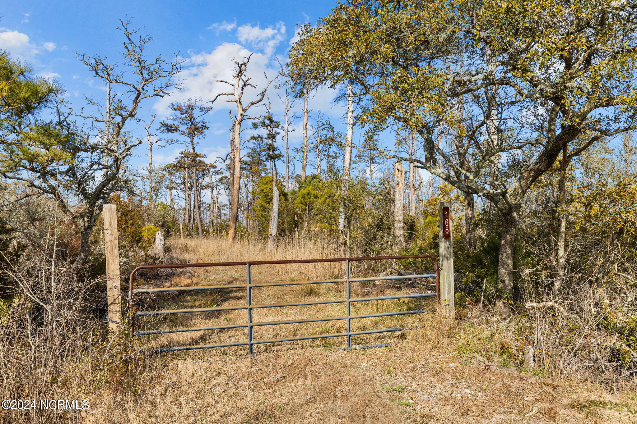 165 Goose Pond Road Marshallberg, NC 28553 - Photo 3 of 23 1-web-or-mls-1S3A7896