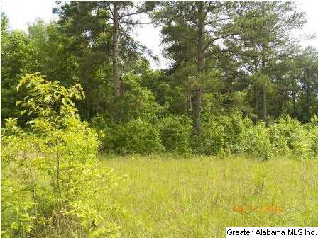 0 Kirkseys Bend Ohatchee, AL 36271 - Photo 1 of 8