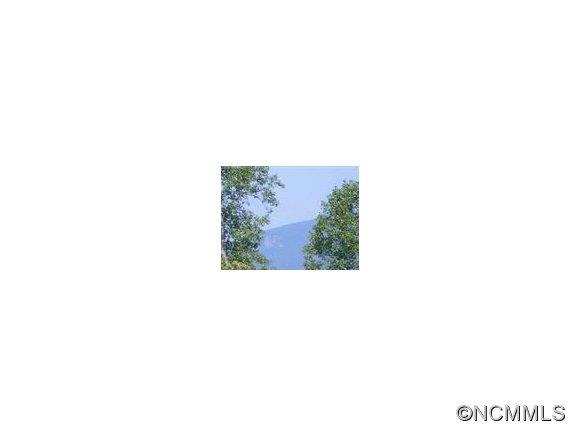0 C L Conner Trail Rutherfordton, NC 28139 - Photo 1 of 3 Gallery Image 1