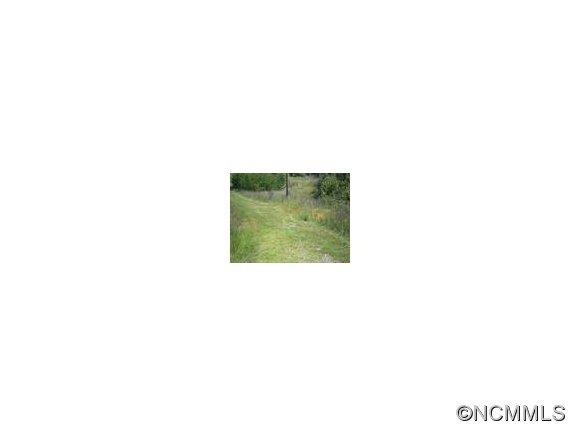 0 C L Conner Trail Rutherfordton, NC 28139 - Photo 2 of 3 Gallery Image 2