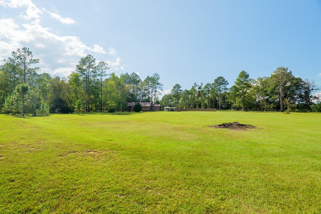 2231 Nell Purvis Road Adel, GA 31620 - Photo 55 of 63 Gallery Image 55