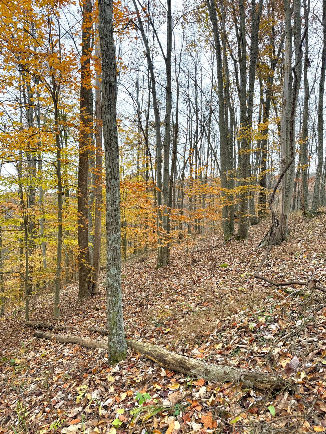 0 South Chenoweth Fork Road Piketon, OH 45661 - Photo 20 of 95