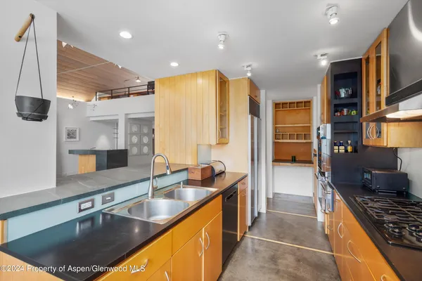 $40,000 | 1270 Mountain View Drive, Aspen, CO 81611