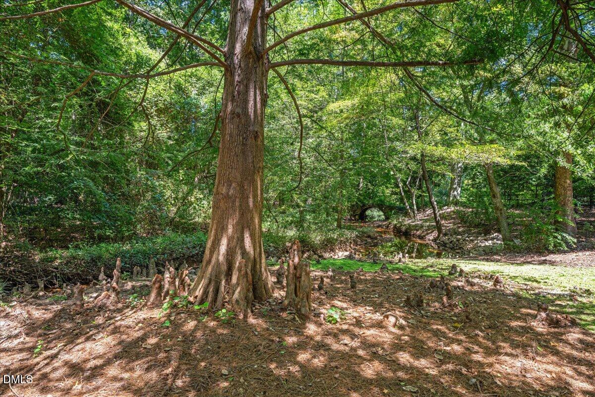 512 Hertford Street Raleigh, NC 27609 - Photo 35 of 39 a view of outdoor space and trees