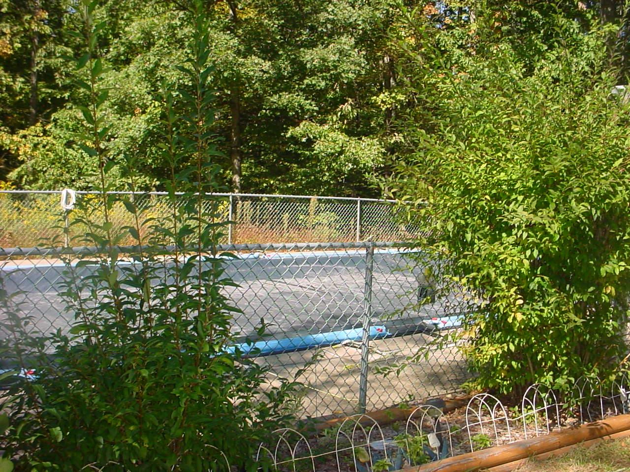 7810 Ramble Bush Road Stroudsburg, PA 18360 - Photo 3 of 7 POOL