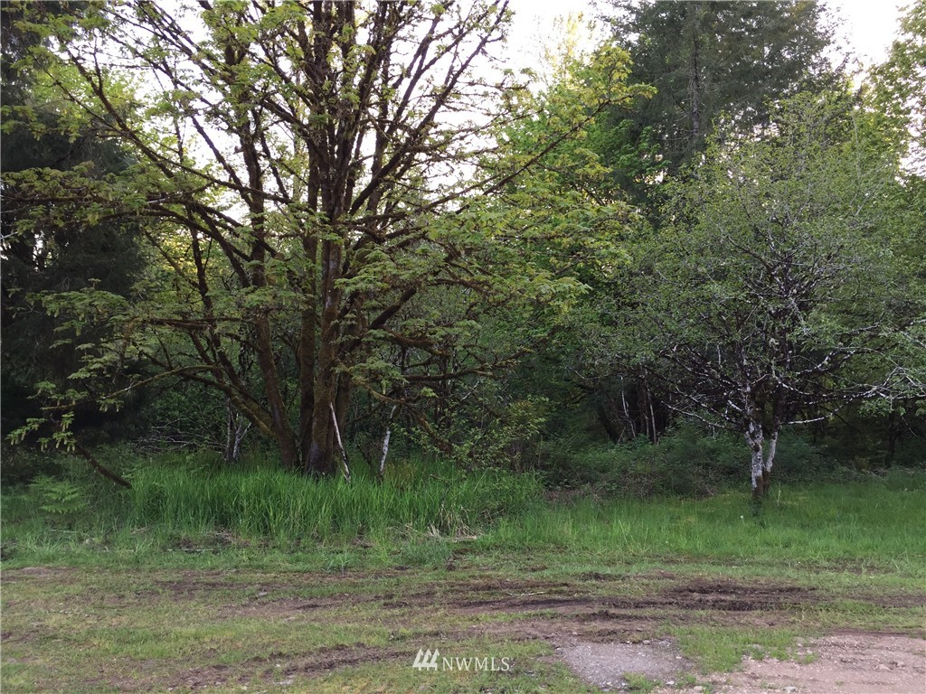 139 Cloquallum Road Elma, WA 98541 - Photo 3 of 7 Gallery Image 3