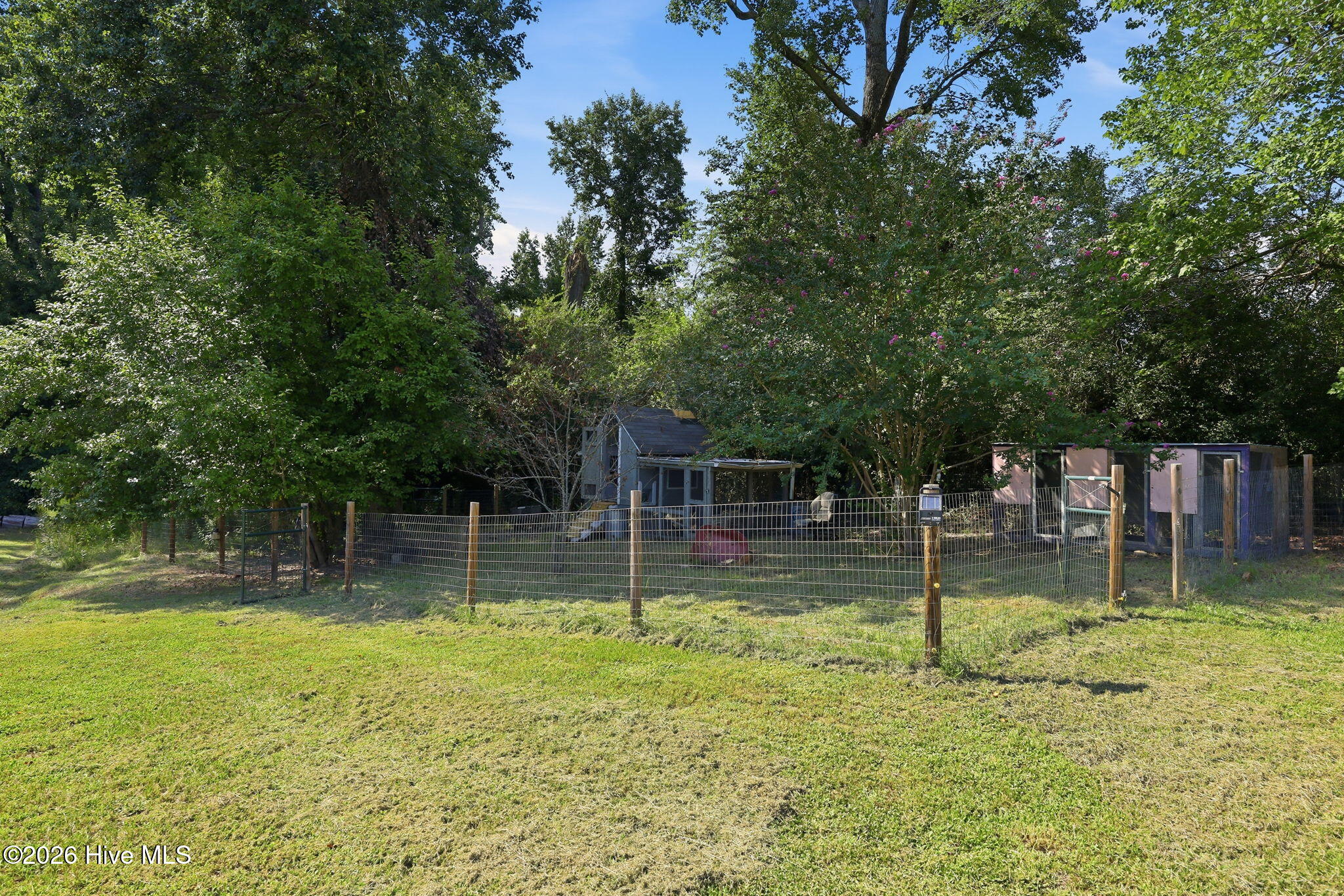 1284 L L Cooper Road Cameron, NC 28326 - Photo 51 of 62 Chicken Pen