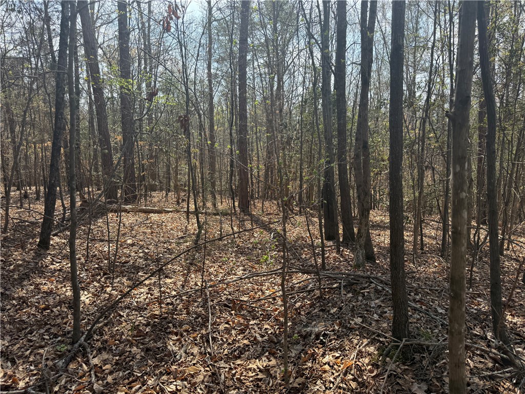 0 Holland Ford Road Pelzer, SC 29669 - Photo 27 of 35