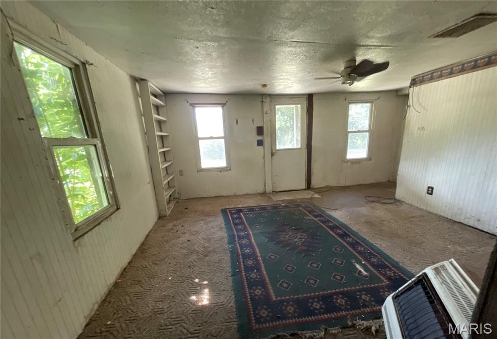 407 Madison Street Kane, IL 62054 - Photo 13 of 16