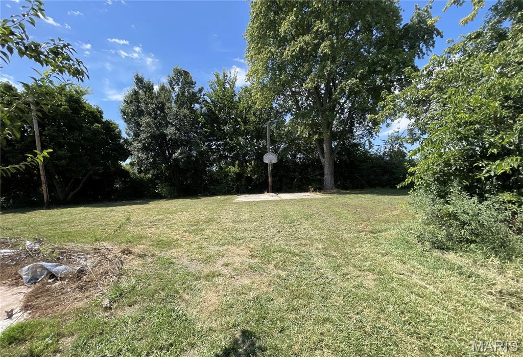 407 Madison Street Kane, IL 62054 - Photo 7 of 16